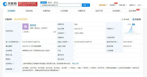 計算機系統(tǒng)服務(wù) 數(shù)字化時代的基石與引擎
